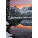 5.webp