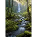 5.webp